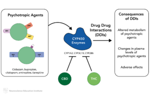 Interações medicamentosas do canabidiol no metabolismo hepático