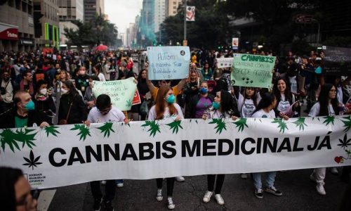 Cannabis-Medicinal-ja-canabidiario-.jpeg