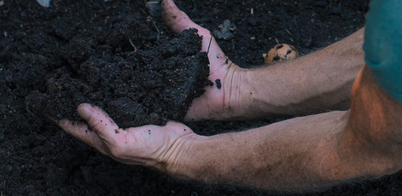 cannabis-soil.jpg